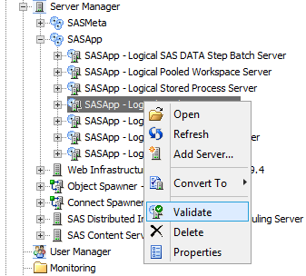 SAS Management Console server validation