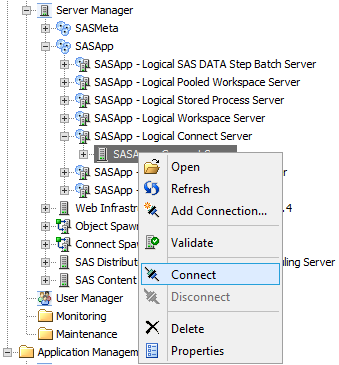 SAS Management Console server validation